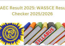 WAEC Result 2025: WASSCE Result Checker 2025